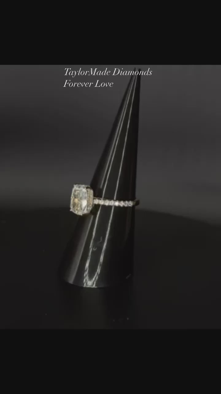 The Kennedy Collection